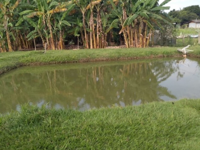 SITIO 100% APROVEITADO P/ CULTIVO + CASA +ÁGUA