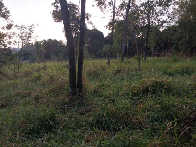 ÁREA RURAL + CÓRREGO DE ÁGUA
