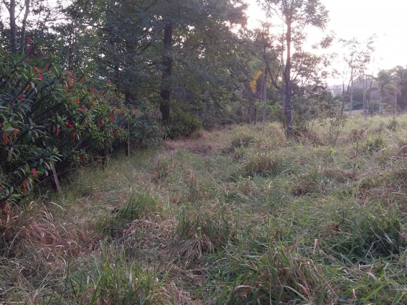 ÁREA RURAL + CÓRREGO DE ÁGUA