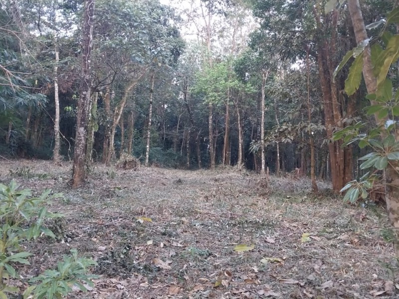 SITIO RURAL + ÁREA NATIVA