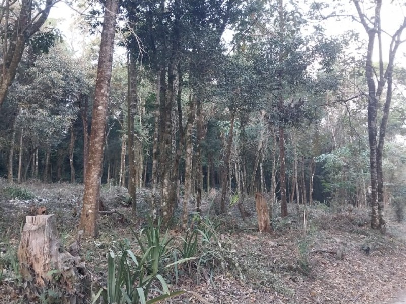 SITIO RURAL + ÁREA NATIVA