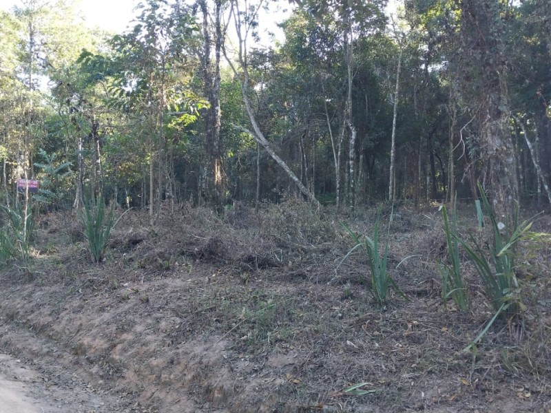 SITIO RURAL + ÁREA NATIVA