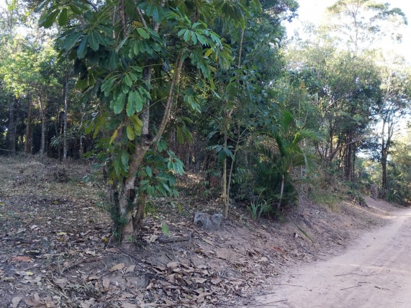 SITIO RURAL + ÁREA NATIVA