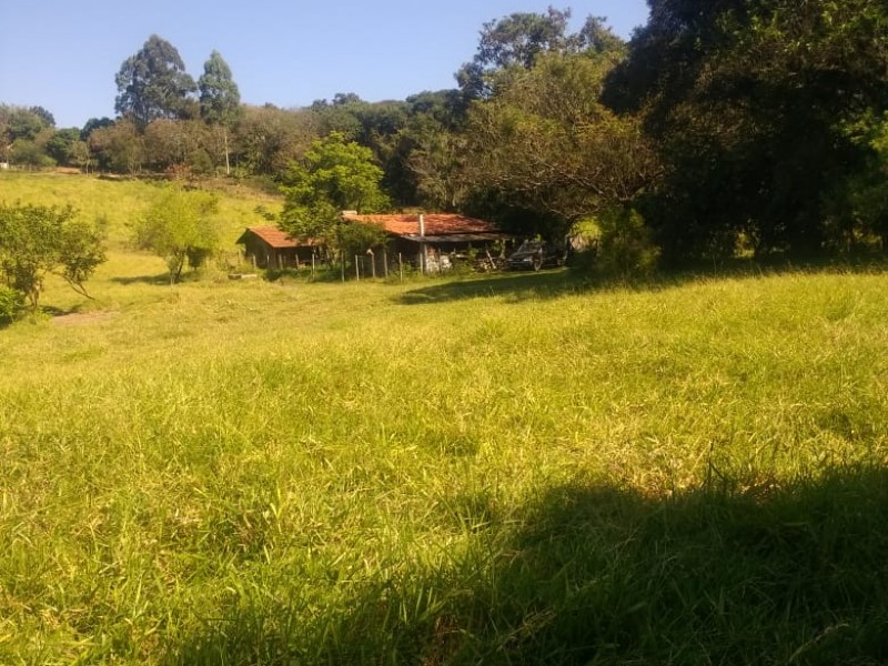 VENDIDO VENDIDO