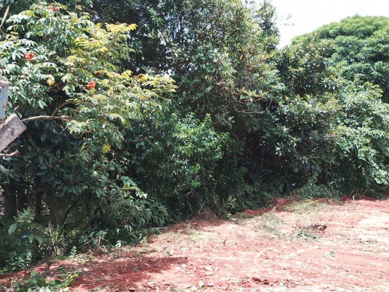 TERRENO COMERCIAL CENTRO