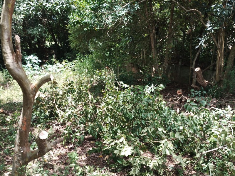 TERRENO COMERCIAL CENTRO