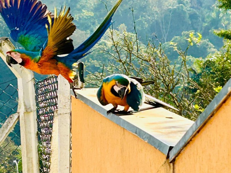 TERRENO COND. FECHADO (CHACARÁ) 