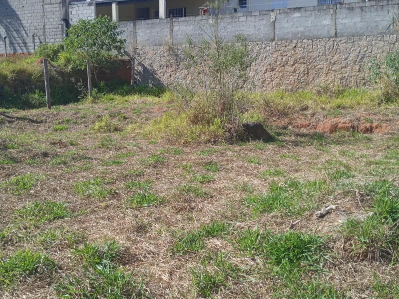 VENDIDO VENDIDO