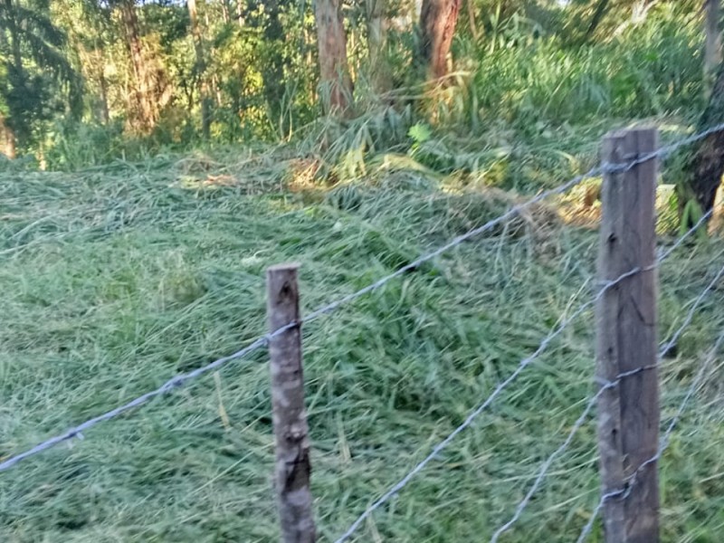 área rural (nua)