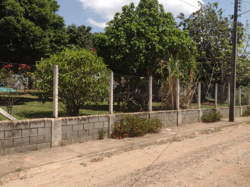 TERRENO GRAMADO PLANO + POMAR 