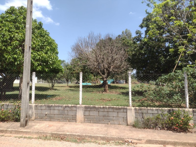 TERRENO GRAMADO PLANO + POMAR 
