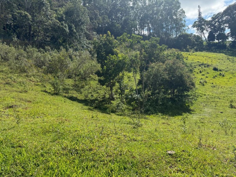 LINDA ÁREA EM EXTREMA