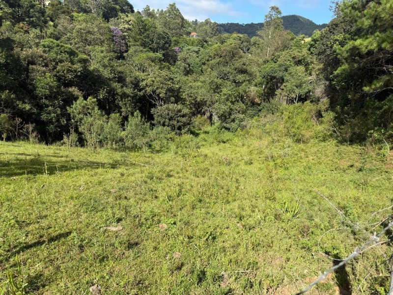 LINDA ÁREA EM EXTREMA