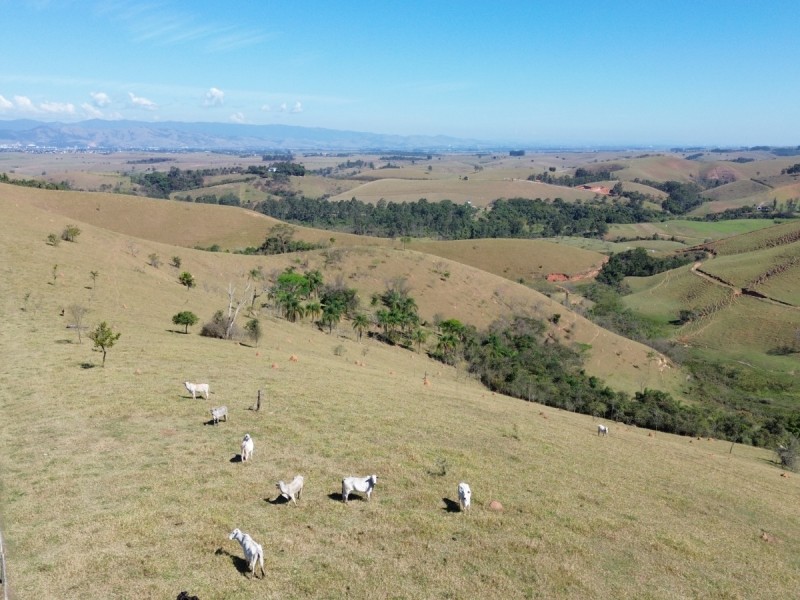 LINDA ÁREA RURAL NUA